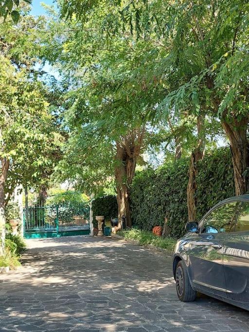 L'Agave Διαμέρισμα Capaccio Εξωτερικό φωτογραφία